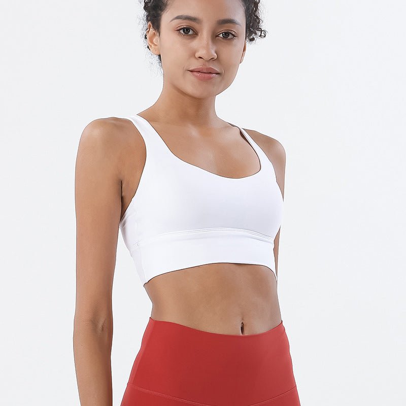 Sports Bra Fitness Running Sports Underwear - The Grace