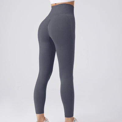 Seamless Leggings Yoga Pants Tummy Control Workout Running Yoga Leggings For Women - The Grace