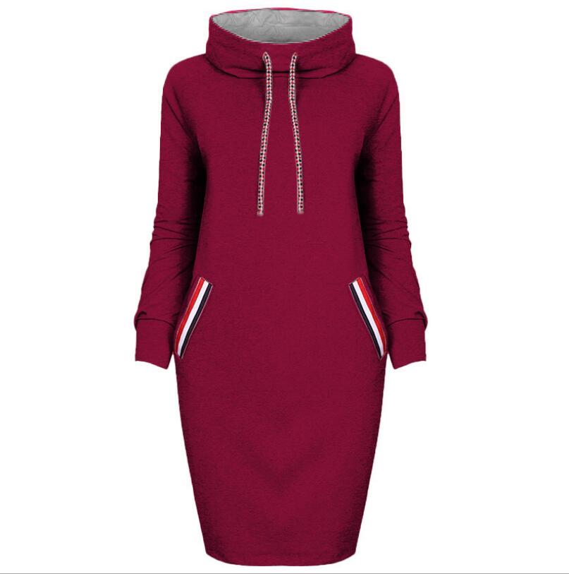 Autumn winter dress Long sleeve vestidos Casual party dresses vestido de festa women dress plus size High collar robe femme - The Grace